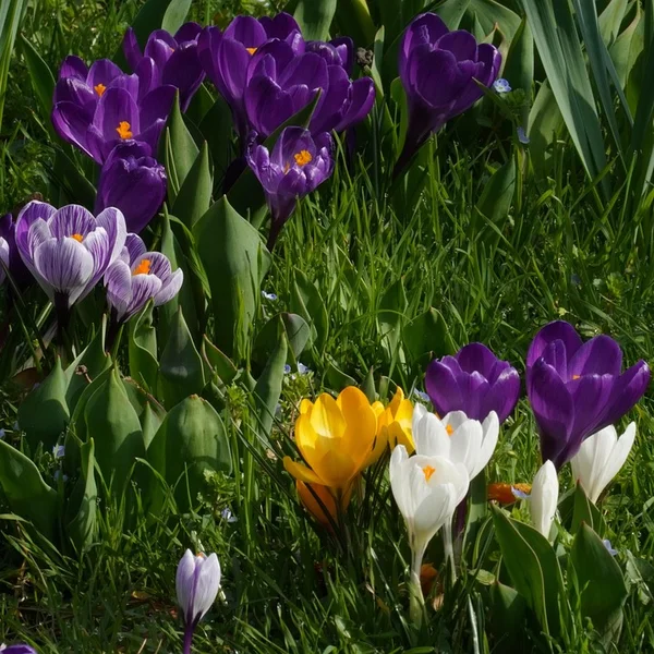 OD体育棋牌游戏